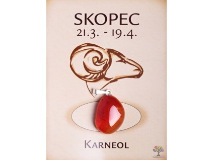 Kámen podle znamení - SKOPEC + sleva 5% po registraci na většinu zboží + dárek k objednávce