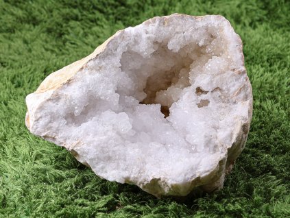 Geoda 11
