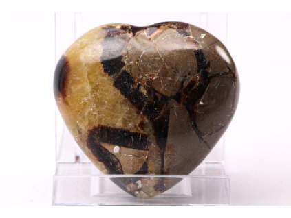 Septarie 58.1