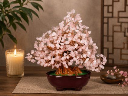 bonsai ruzenin