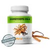 Cordyceps CS-4 90 želatinových kapslí #41 | MycoMedica + sleva 5% na vše po registraci