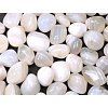 Tumbled stone Agate white L sizes 20 - 35 mm - India #02
