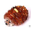 Amber hedgehog - amber on a shell #ZB78