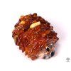 Amber hedgehog - amber on a shell #ZB78