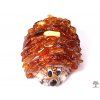 Amber hedgehog - amber on a shell #ZB78