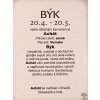 Kamień według znaku zodiaku - BYK #04