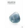 Celestin 1 1