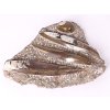 Fosilie Orthoceras deska 24x19cm 1.670kg (Maroko) #02
