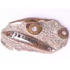 Fosilie Orthoceras deska 28x17cm 2.210 kg (Maroko) #04