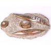 Fosilie Orthoceras deska 28x17cm 2.210 kg (Maroko) #04