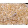 Citrine druse 4.850 Kg #321