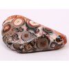 Tumbled stone Leopard Jasper M size 20 - 35 mm - Brazil #367