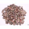 Tumbled stone Leopard Jasper M size 20 - 35 mm - Brazil #367
