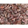 Tumbled stone Leopard Jasper M size 20 - 35 mm - Brazil #367