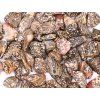 Tumbled Leopard Jasper L size 30 - 50 mm - Brazil #369