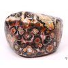 Tumbled Leopard Jasper L size 30 - 50 mm - Brazil #369