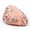Tumbled Leopard Jasper L size 30 - 50 mm - Brazil #369