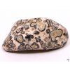 Tumbled Leopard Jasper L size 30 - 50 mm - Brazil #369