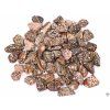 Tumbled Leopard Jasper L size 30 - 50 mm - Brazil #369