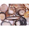 Natural agate slice, size 6–11 cm, top quality #NV448