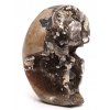 Septaria druse - geode 480g #K164