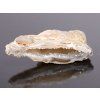 Feather agate 2 - 3 cm natural geode #ZB76