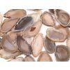 Agate slab natural with hole - size 4 - 7 cm #490