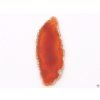 Agate slab red with hole - size 3 - 5 cm #491