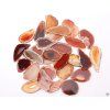 Agate slab red with hole - size 3 - 5 cm #491