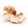 Vanadinite + Barite - mineral 93 g - Morocco #K340