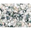 Tumbled stone Agate tree M size 20 - 30 mm - Brazil #549