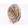 Fossilized wood slice 888g - 18 cm + stand #K794 Madagascar