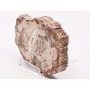 Zkamenělé dřevo plát 498g - 15 cm + stojánek #K797 Madagaskar
