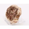 Zkamenělé dřevo plát 140g - 8,5 cm + stojánek #K807 Madagaskar