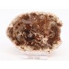 Zkamenělé dřevo plát 140g - 8,5 cm + stojánek #K807 Madagaskar