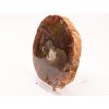Zkamenělé dřevo plát 687g - 16 cm + stojánek #K816 Madagaskar