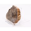 Zkamenělé dřevo plát 148g - 8,5 cm + stojánek #K820 Madagaskar