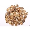 Srdce Jaspis obrázkový 20x20 mm - Jaspisové srdce #23