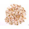 Citrine spire 2 - 5 cm #609