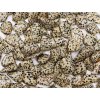 Tromlovaný kámen Jaspis Dalmatin L velikost 25 - 40 mm Brazílie #628