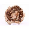 Fossilized wood slice 335 g - 12 cm + stand #B385 Madagascar