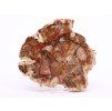 Fossilized wood slice 364 g - 12 cm + stand #B393 Madagascar