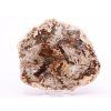 Fossilized wood slice 379 g - 12 cm + stand #B394 Madagascar