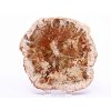 Zkamenělé dřevo plát 356 g - 12 cm + stojánek #B395 Madagaskar
