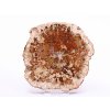 Zkamenělé dřevo plát 356 g - 12 cm + stojánek #B395 Madagaskar