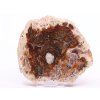 Fossilized wood slice 355 g - 11 cm + stand #B397 Madagascar