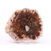 Fossilized wood slice 355 g - 11 cm + stand #B397 Madagascar
