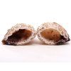 Feather agate geode pair 92 g - 5 cm - Top quality - #B422