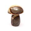 Septaria stone mushroom 88 mm - 388 g #C19