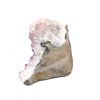Amethyst druse 0,620 kg #3471